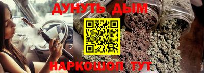 индика Рузаевка