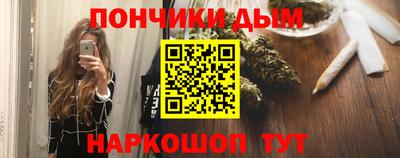 индика Рузаевка