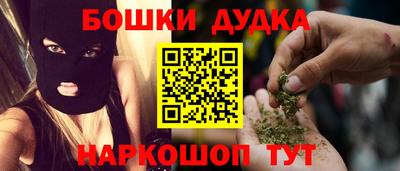индика Рузаевка