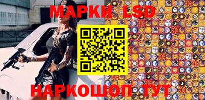 индика Рузаевка